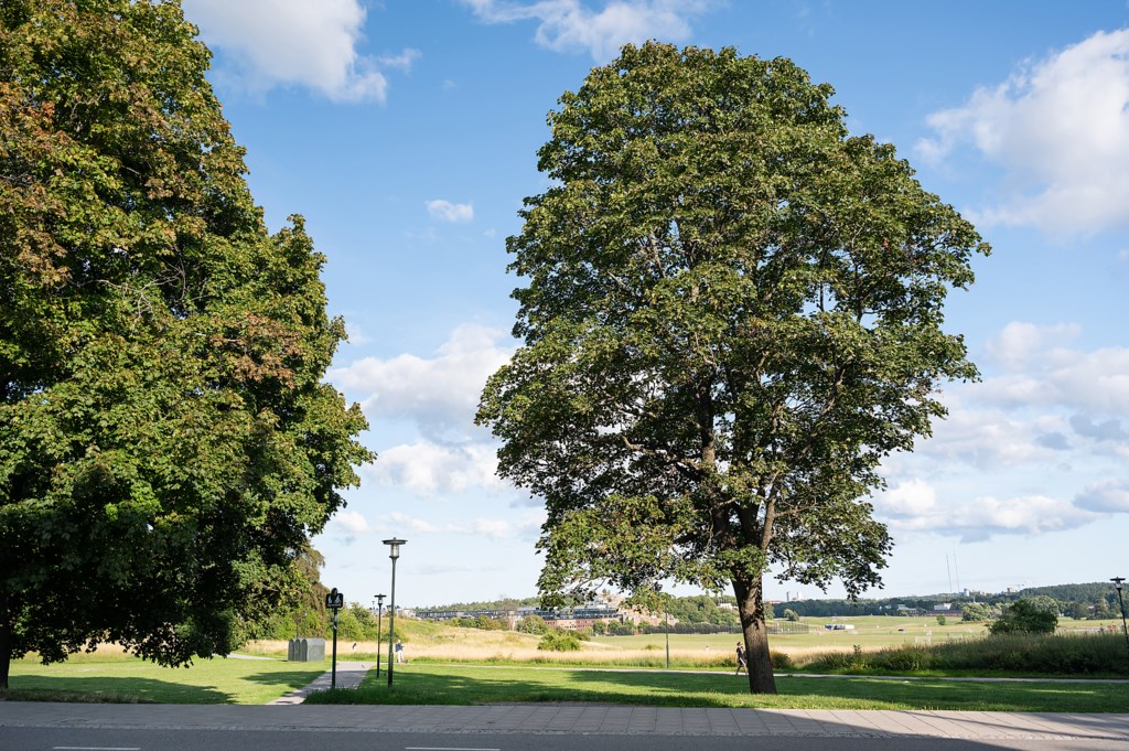 Ängskärsgatan 6, 4tr